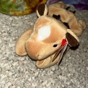 Meet derby the beanie baby